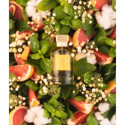 Parfum Fruity