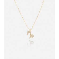 Collier Capricorne